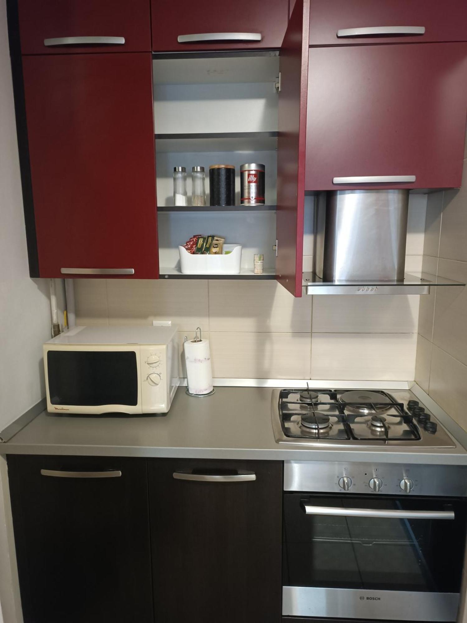 Apartment Viki *