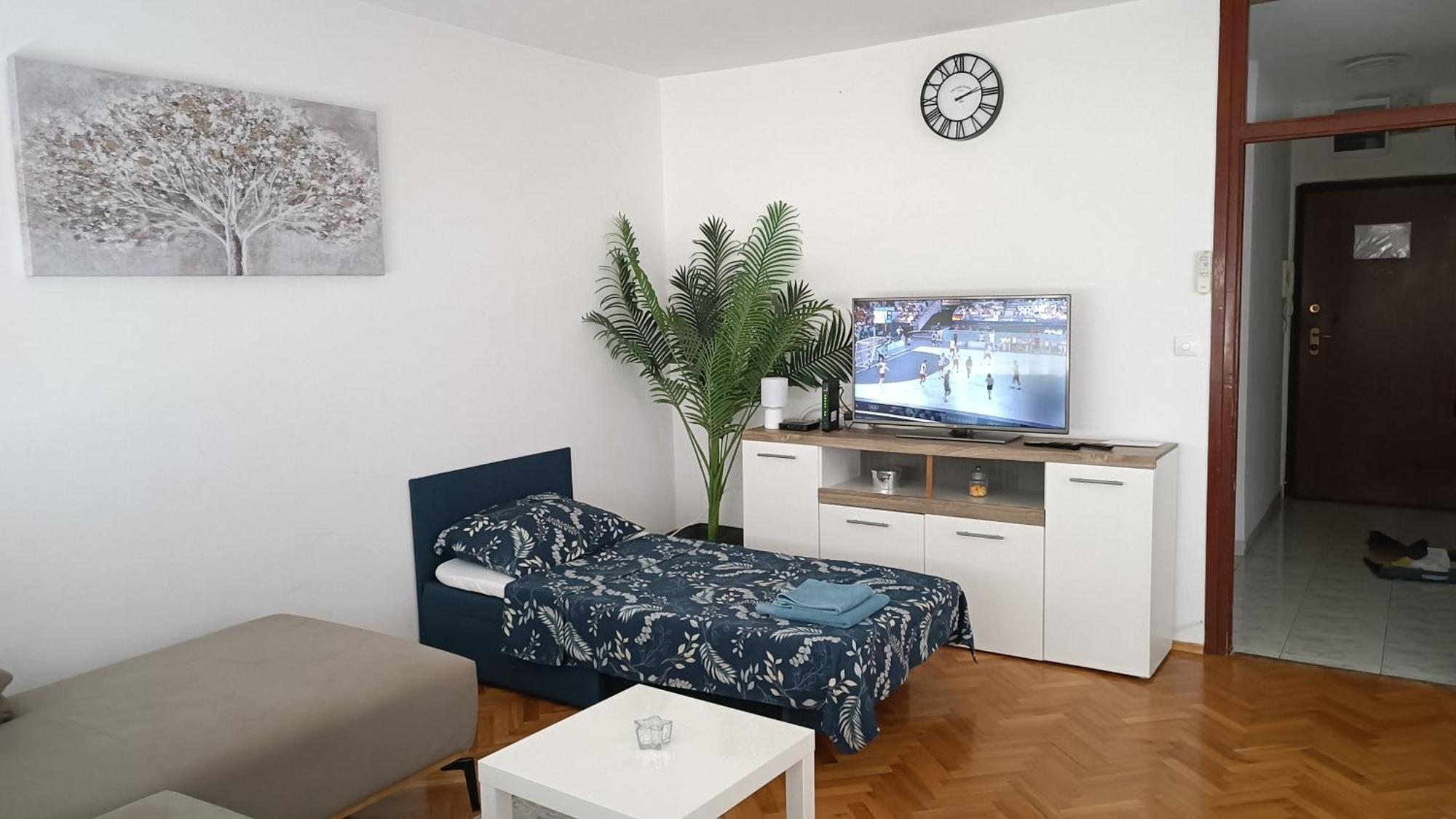 Viki Zagreb